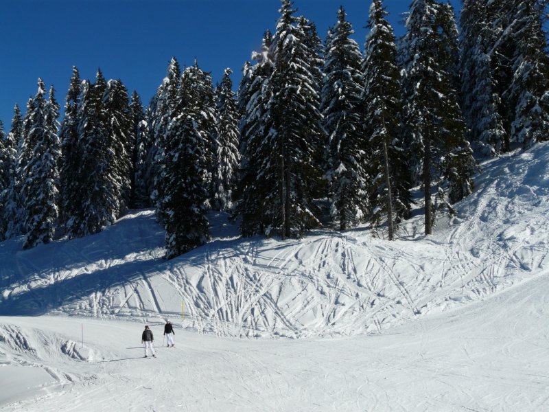 au pied des cheveuils